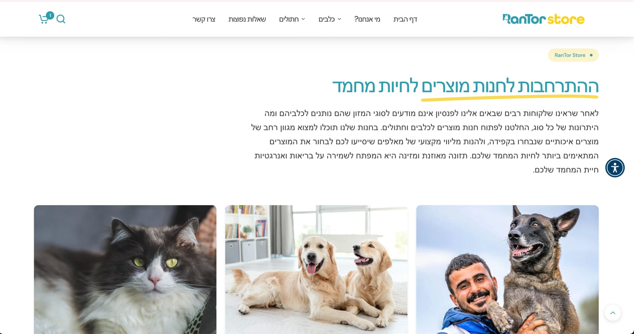 RanTor Store 🐶 - Image 3